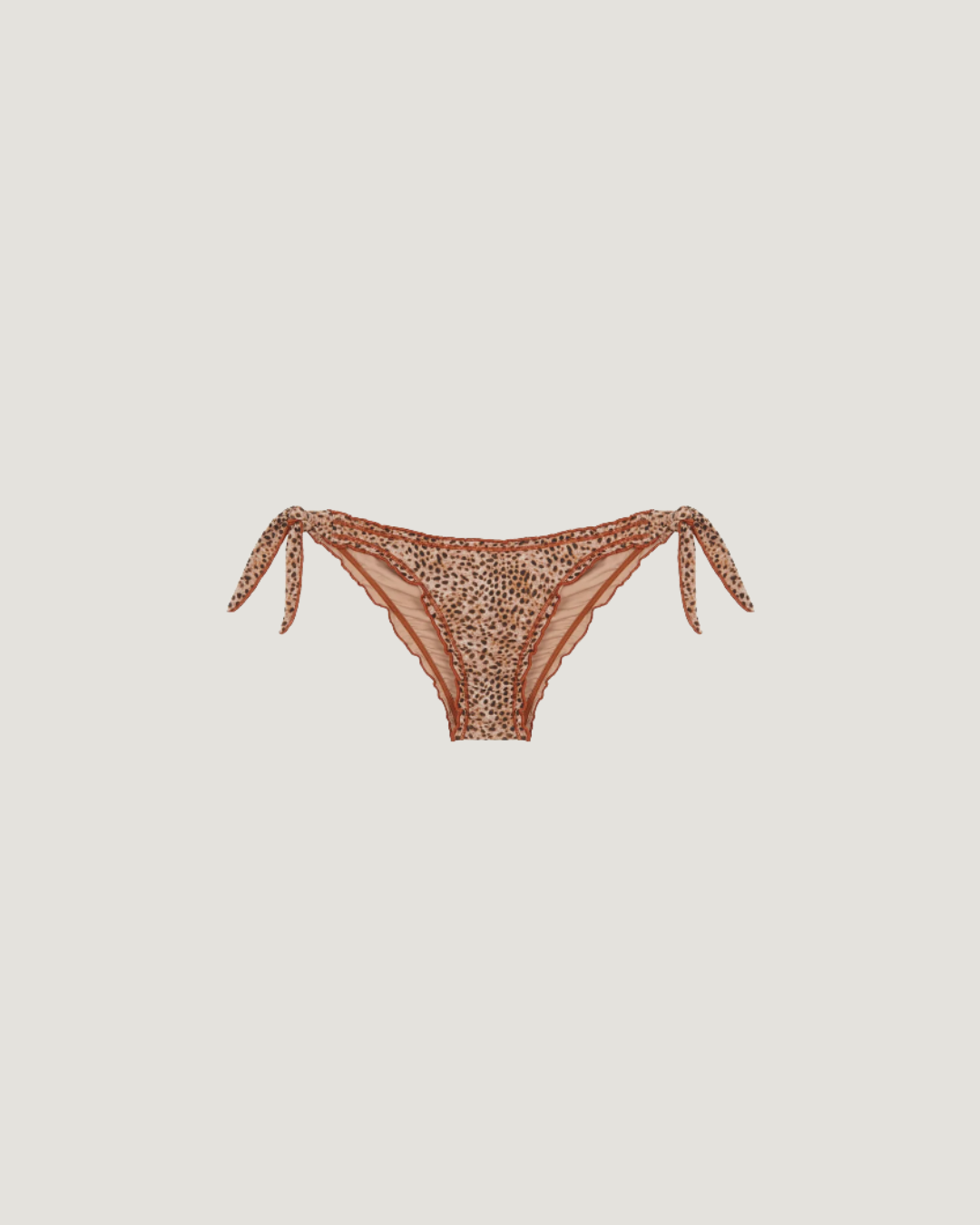 BOTTOM AFRICA RIZO