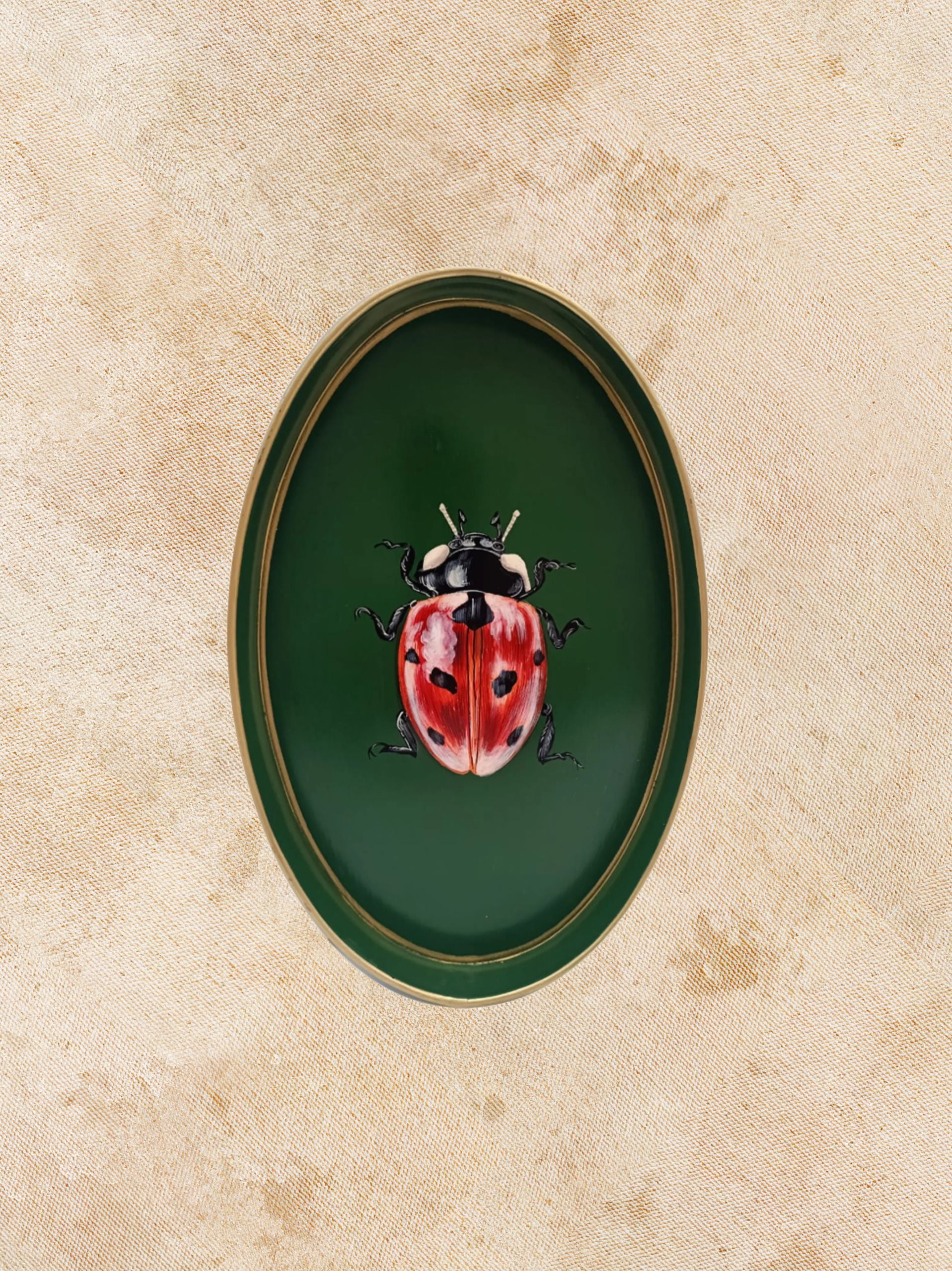 BANDEJA LADYBUG