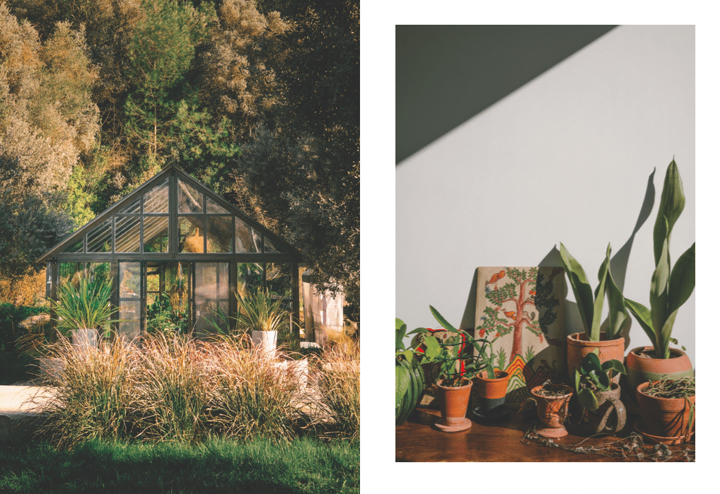 KINFOLK GARDEN